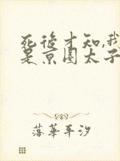 死后才知,我竟是京圈太子白月光在线