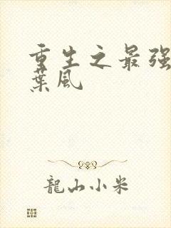 重生之最强弃少叶风