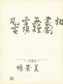 风雪无尽相思情电视短剧