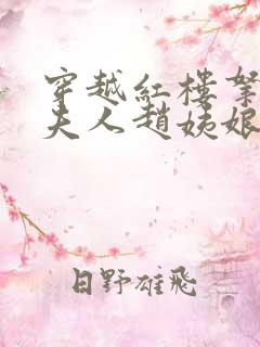 穿越红楼拿下王夫人赵姨娘的小说