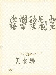 灿烂的风和海粤语电视剧免费观看