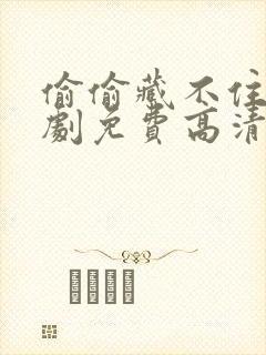 偷偷藏不住电视剧免费高清完整版