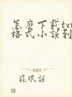 怎么下载txt格式小说到本地