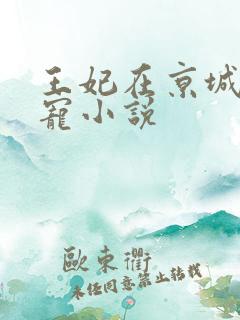 王妃在京城当团宠小说