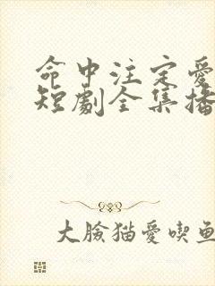 命中注定爱上我短剧全集播放