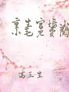 重生官场小说陈小毛免费阅读