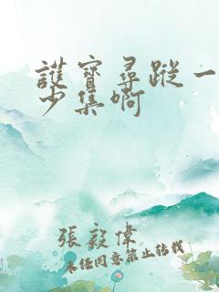 护宝寻踪一共多少集啊