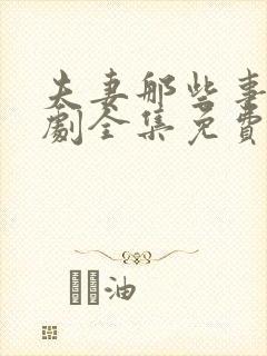 夫妻那些事电视剧全集免费看