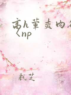 高h荤爽肉欲文〈np
