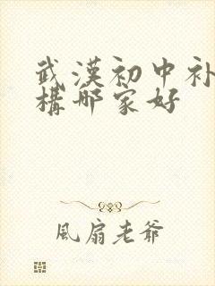 武汉初中补习机构哪家好