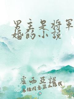 男主是将军是赐婚的小说