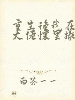 重生后我在偏执大佬怀里撒欢