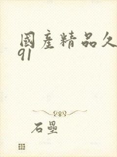 国产精品久久久91