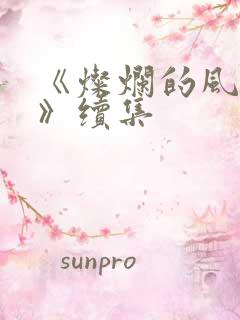 《灿烂的风和海》续集