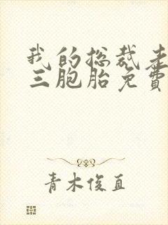 我的总裁老婆是三胞胎免费阅读