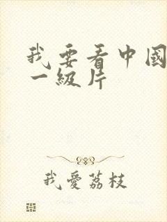 我要看中国黄色一级片