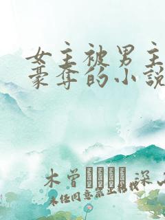 女主被男主强取豪夺的小说