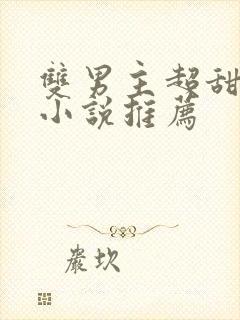 双男主超甜宠文小说推荐