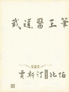 武道医王笔趣阁