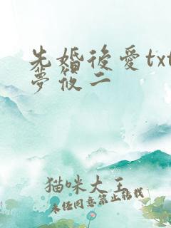 先婚后爱txt梦筱二