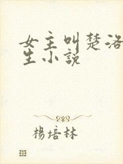 女主叫楚洛的重生小说
