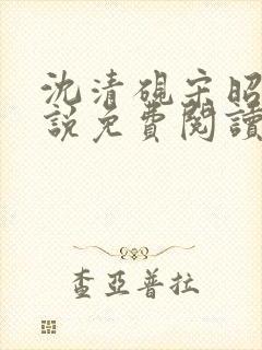 沈清砚宋昭汐小说免费阅读最新章节