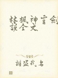 林枫神霄剑宗小说全文