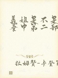 义姐是不是良喂养中第二部