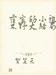 霍家的小祖宗甜又野大结局