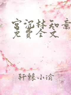 宫沉林知意小说免费全文