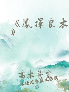 《凤择良木而栖》