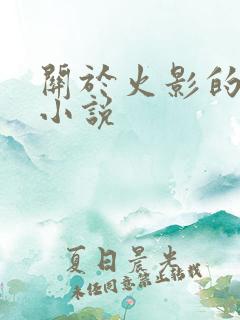 关于火影的所有小说
