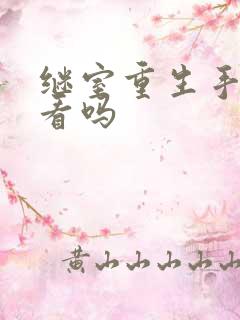 继室重生手册好看吗