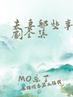 夫妻那些事电视剧全集