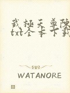 武极天尊陈天极txt全本下载