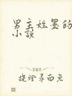 男主姓墨的总裁小说