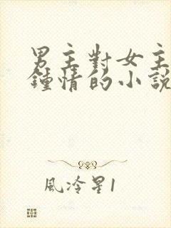 男主对女主一见钟情的小说