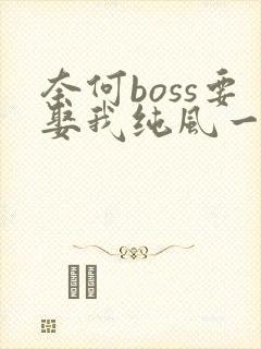 奈何boss要娶我纯风一度全文