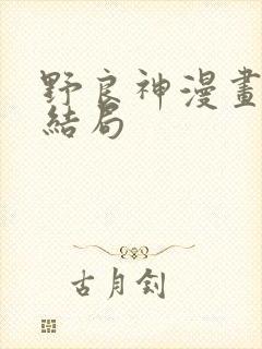 野良神漫画最后结局