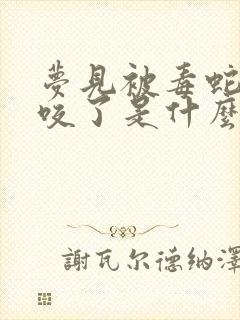 梦见被毒蛇追着咬了是什么征兆