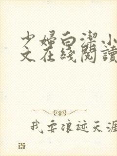 少妇白洁小说全文在线阅读