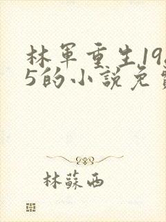 林军重生1985的小说免费阅读全文