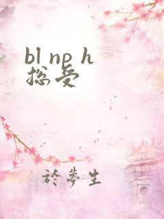 bl np h总受