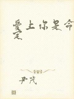 爱上你是命中注定