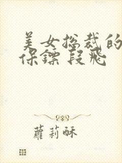 美女总裁的贴身保镖 段飞