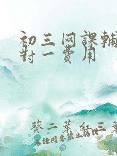 初三网课辅导一对一费用