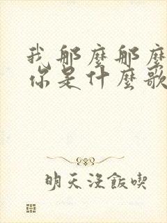 我那么那么的爱你是什么歌