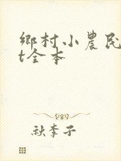 乡村小农民txt全本