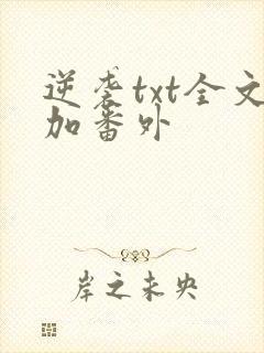 逆袭txt全文加番外