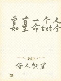 曾有一个人爱我如生命txt全本